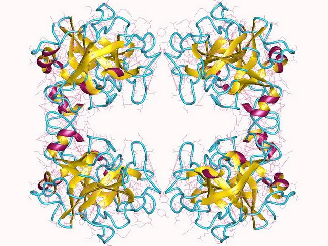 Mastocytosis : Serum Tryptase
