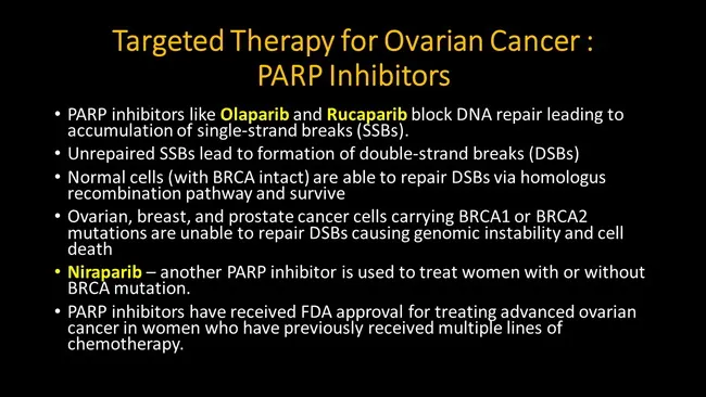 Ovarian Cancer Treatment : PARP Inhibitors